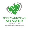 В Тольятти прошел региональный бизнес-форум  «Линия успеха»